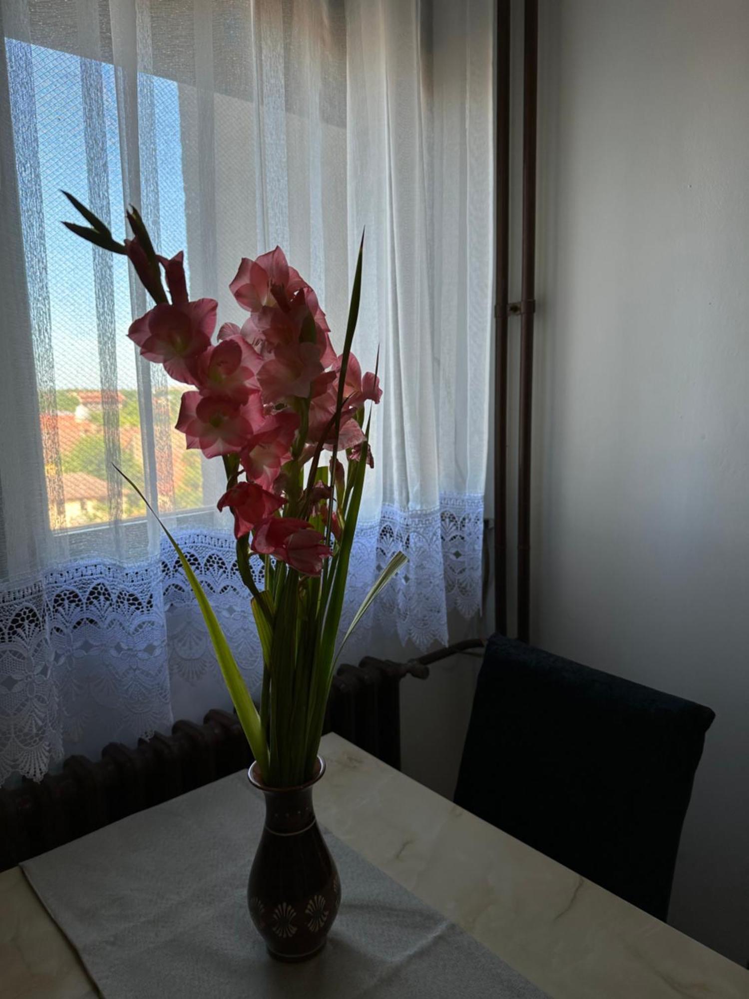 Tamaris Apartment Subotica Esterno foto